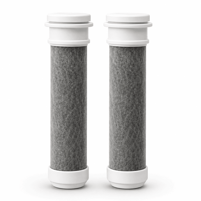 Filtres pour pommeau AquaPure™